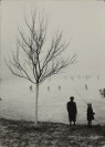 Dvojice fotografií (bez názvu) [Adolf Rossi (1920-2000)]