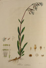 Set of Six Illustrated Handbooks with Botanical Themes [Friedrich Dreves Friedrich Gottlob Hayne (1763-1832)]