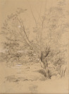 Weide in Landschaft [Julius Edvard Mařák (1832-1899)]