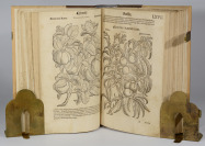 Mattioli`s Herbarium [Pietro Andrea Gregorio Mattioli (1501-1577) Tadeáš Hájek z Hájku (1525-1600)]