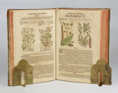 New Kreüterbuch – Nový herbář [Pietro Andrea Gregorio Mattioli (1501-1577)]