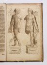 Nosce te ipsum, vel anatomicum vivum [Christoph von Helwig (1663-1721)]