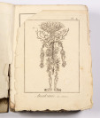 Encyclopédie, ou dictionnaire raisonné des sciences, des arts et des métiers [Denis Diderot (1713-1784), Verschiedene Künstler]
