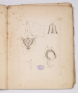 Planches pour les oeuvres de Vicq-D`Azyr [Louis-Jacques Moreau de la Sarthe (1771-1826), Verschiedene Künstler]