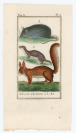 Kollektion von Stichen mit Tierthematik [Georges-Louis Leclerc de Buffon (1707-1788)]