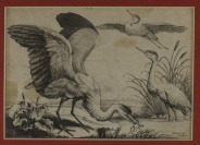 Dvojice leptů s ptáky [Václav Hollar (1607-1677), Francis Barlow (1626-1702)]