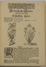 Mattioliho herbář (Herbarium by Pietro Andrea Mattioli) [Pietro Andrea Gregorio Mattioli (1501-1577) Bedřich Kočí (1869-1955)]